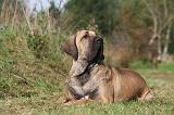 FILA BRASILEIRO 007